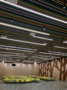 Iluminación auditorio